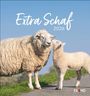 : Extra Schaf Postkartenkalender 2026, KAL