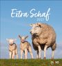 „Extra Schaf 2027“. Ein Schaf und zwei Lämmer stehen auf einer Wiese unter blauem Himmel. "EILAND Kalender".