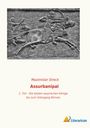 Maximilian Streck: Assurbanipal, Buch