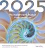 : Wunderwerk Natur - Bizarre Strukturen - KUNTH Postkartenkalender 2025, KAL
