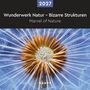 2027, Wunderwerk Natur – Bizarre Strukturen, Marvel of Nature. Detailaufnahme einer Pusteblume in Nahaufnahme.
