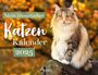: Mein Literarischer Katzenkalender 2025 Wandkalender, KAL