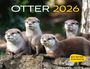 : Otter Kalender 2026 Wandkalender Eintragkalender, KAL