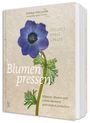 „Blumen pressen“ steht in großer Schrift, daneben eine große lila Blume mit grünen Blättern auf einem Buchcover.