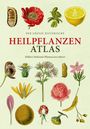 Hermann Adolph Köhler: Der große Heilpflanzen-Atlas, Buch