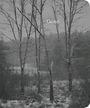 Text: "Gone." und "KEHRER". Winterliche Waldszene mit kahlen Bäumen und Schnee. Atmosphäre kühl und ruhig.