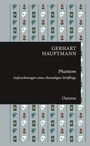 Gerhart Hauptmann: Phantom, Buch