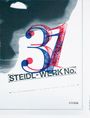 Theseus Chan: STEIDL-WERK No.31: GHOSTS IN THE MACHINE, Buch