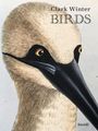 Clark Winter: Birds, Buch