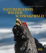 Gaby Hufler: Naturerlebnis Wilder Schwarzwald, Buch