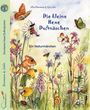 „Die kleine Hexe Duftnäschen“, Ein Naturmärchen. Eine Illustration von Blüten, Tieren und einem schnüffelnden Mäuschen.