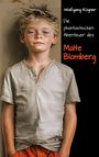 Wolfgang Rögner: Die phantastischen Abenteuer des Malte Blomberg, Buch