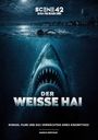 Markus Brüchler: Der Weisse Hai - Roman, Filme und das Vermächtnis eines Kinomythos (Scene 42-Das Filmarchiv), Buch