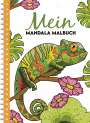 Christoph Alexander: Mein Mandala Malbuch, Buch