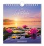 : Postkartenkalender 2026 Lichtblicke, KAL