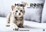 : Miau Kids - kleine Tiger ganz groß - Der Katzenkalender - 2025 - Kalender DIN A2, KAL