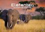 Text: „Elefanten 2027. Einzigartige Giganten.“ Ein Elefant spaziert auf einer Savanne in der Dämmerung. Bäume im Hintergrund.