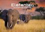 "Elefanten 2027 - Einzigartige Giganten" steht über einer Savannenlandschaft mit Elefantenherde vor einem bunten Himmel.