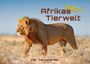 "Afrikas Tierwelt 2027", "Der Tierkalender". Ein Löwe steht majestätisch in einer trockenen, grasbewachsenen Landschaft.