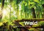 Wald - Erholung für Mensch und Tier - 2027 - Kalender DIN A2, KAL