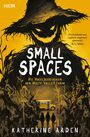 "Small Spaces: Die Vogelscheuchen der Misty Valley Farm" von Katherine Arden. Illustration: Angst einflößende Vogelscheuche.
