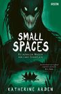 "Small Spaces: Die dunklen Wasser von Lake Champlain" in großer Schrift. Eine düstere Kreatur über einem See mit Boot.