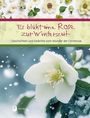 "Es blüht eine Rose zur Winterzeit" und "Geschichten und Gedichte vom Wunder der Christrose". Große weiße Christrose.