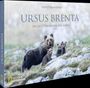 Horst Eberhöfer: Ursus Brenta - Die Rückkehr der Bären in die Alpen, Buch