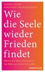 Georg Juckel: Wie die Seele wieder Frieden findet, Buch