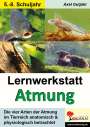 Axel Gutjahr: Lernwerkstatt Atmung / Band 1 (Klasse 5-8), Buch
