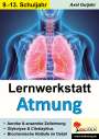 Axel Gutjahr: Lernwerkstatt Atmung / Band 2 (Klasse 9-13), Buch