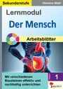 Hermine Wabl: Lernmodul 1: Der Mensch / Tafelbilder, Buch