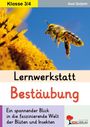 Axel Gutjahr: Lernwerkstatt Bestäubung, Buch