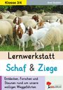 Axel Gutjahr: Lernwerkstatt Schaf und Ziege, Buch