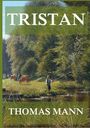 Thomas Mann: Tristan, Buch