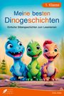 : Silbenbuch 1. Klasse - Meine besten Dinogeschichten, Buch