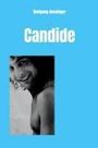 Wolfgang Hunsinger: Candide (Englische Edition), Buch