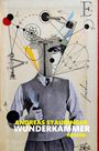 Text: "ANDREAS STAUDINGER WUNDERKAMMER ROMAN". Illustration eines Mannes mit geometrischen Formen und Symbolen.