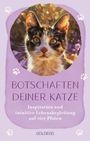 : Die Botschaften deiner Katze, Buch