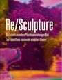 Peter Schneemann: Re/Sculpture, Buch