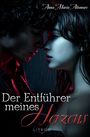 "Der Entführer meines Herzens" steht groß. Zwei Menschen sind einander nah, ihr Gesichtsausdruck ist intensiv und regnerisch.