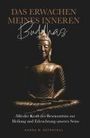 Hanna M. Kotrschal: Das Erwachen meines Inneren Buddhas, Buch