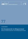 Julian Bothe: Die Energiewende im Alltagsverstand, Buch