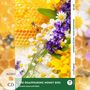 Carolyn Marsh: The Disappearing Honey Bees - Englische Krimi-Lektüre A1-A2 (+ Audio-CD), Buch