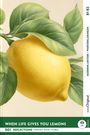 Mabel Kemp: When Life Gives You Lemons - Reflections: Everyday Short Stories vol. 001 - B1-B2 (+ Audio-Online), Buch