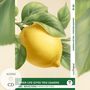 Mabel Kemp: When Life Gives You Lemons - Reflections: 10 Everyday Short Stories vol. 001 - B1-B2 (+ Audio-CD), Buch