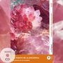 Elena Vallejo: La Fuente de la Discordia - Spanische Krimi-Lektüre A2-B1 (+ Audio-CD), Buch