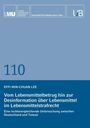 Effi Min-Chuan Lee: Vom Lebensmittelbetrug hin zur Desinformation über Lebensmittel im Lebensmittelstrafrecht, Buch