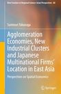 Suminori Tokunaga: Agglomeration Economies and the Location of Japanese Investment in East Asia: Globalization and the Geography of the Supply Chain, Buch