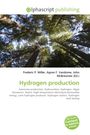 Hydrogen production, Buch